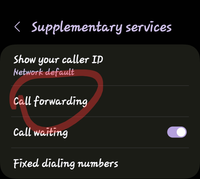 Screenshot_20241009_211744_Call settings_1000006648_1728523064.png