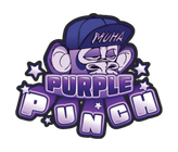 64b838bf2fd492147fe51fc7_PURPLE PUNCH-TOP.png