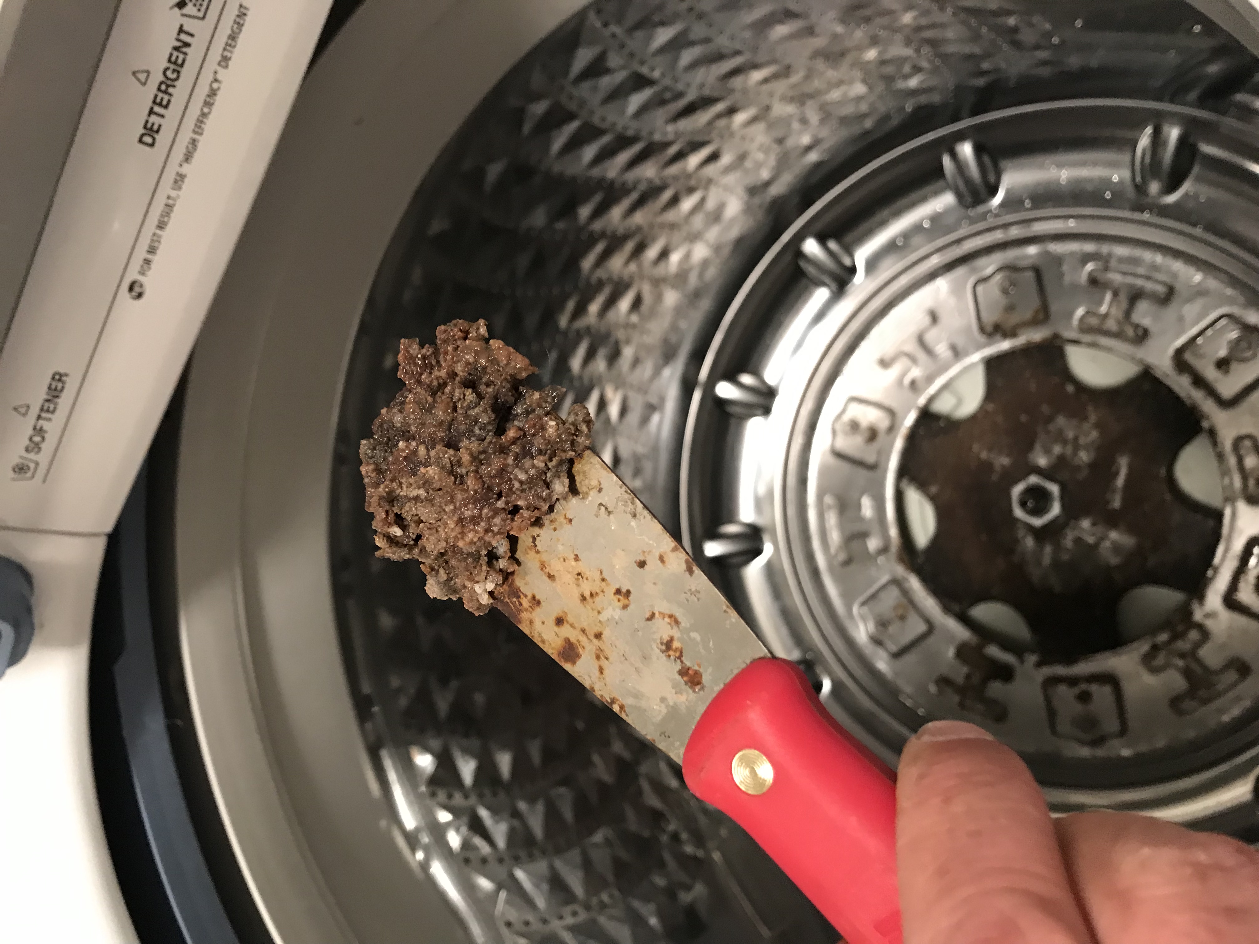 Solved: Samsung Washer - Brown Residue - DISGUSTING ...