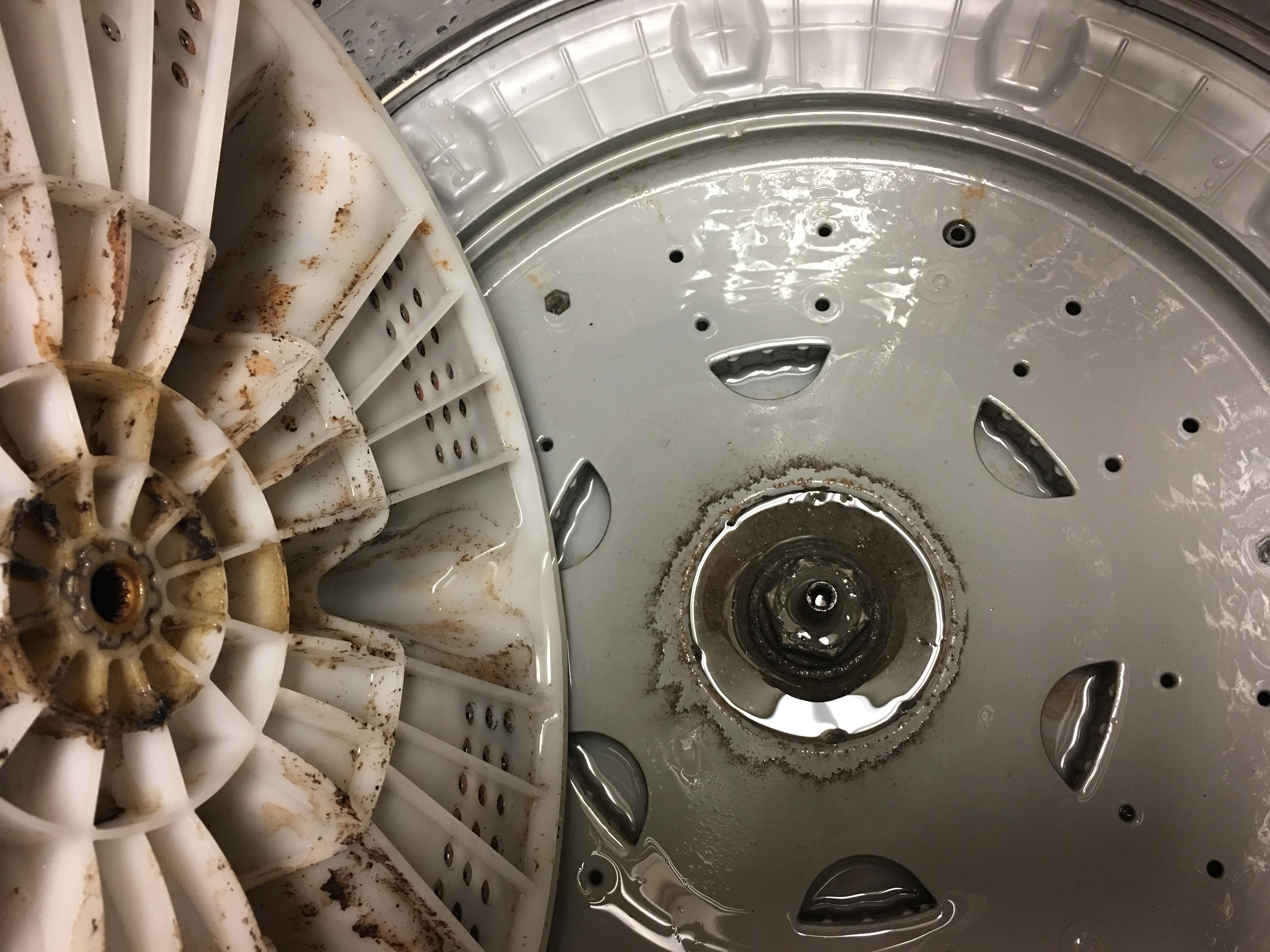 Solved: Samsung Washer - Brown Residue - DISGUSTING! - Page 5 - Samsung ...