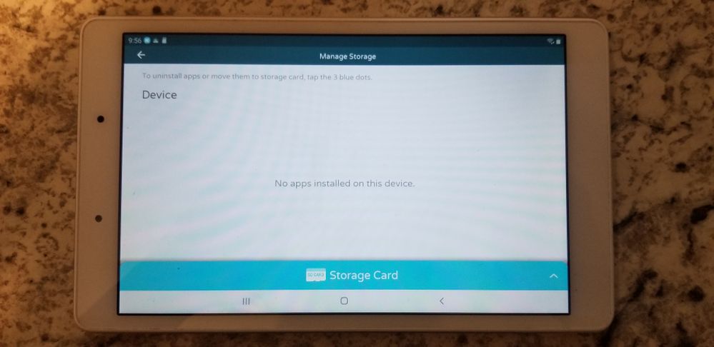 This screen is in Samsung Kids&gt;Parent's Area&gt;Settings&gt;Manage Storage