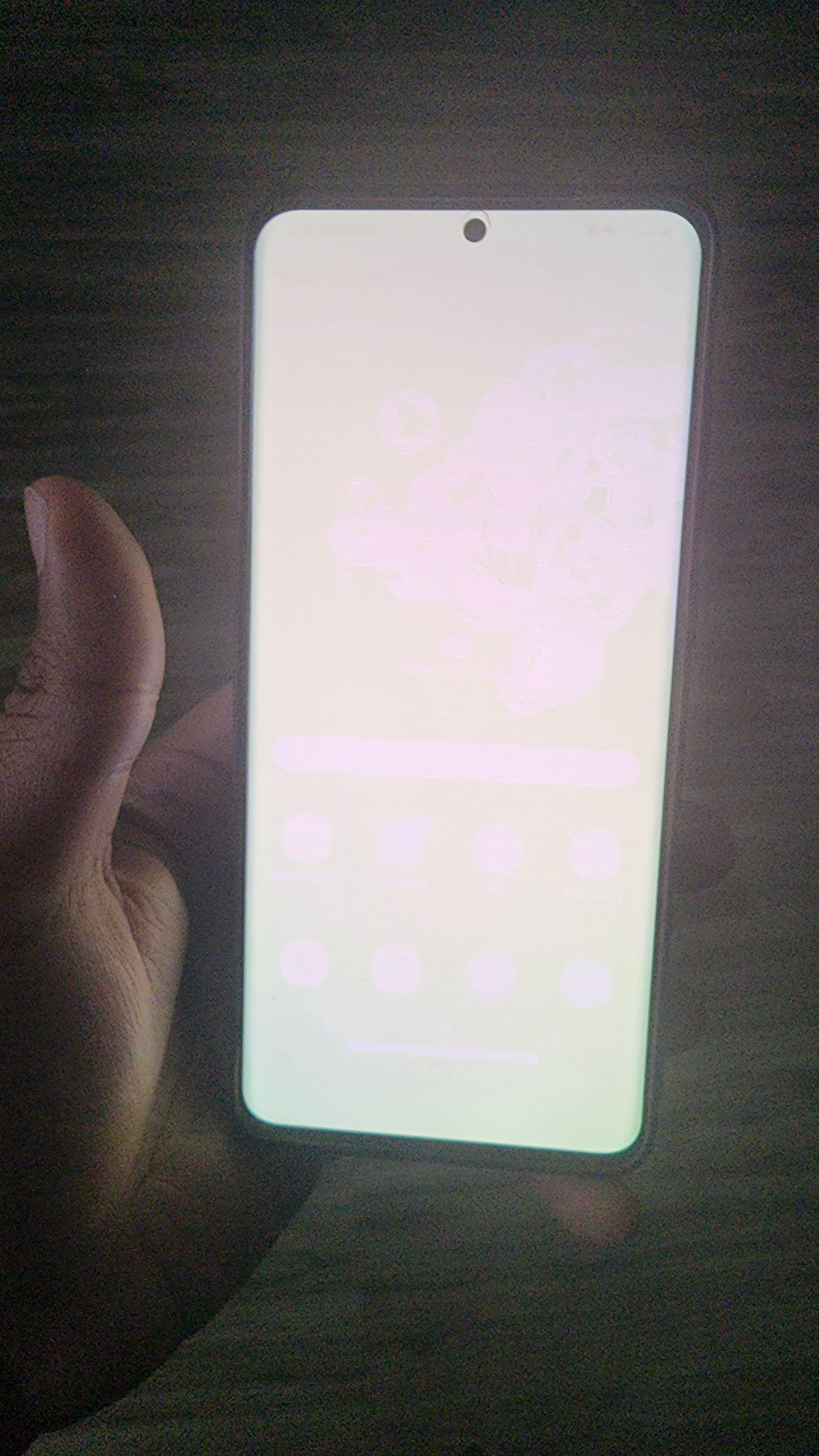 samsung galaxy s21 white screen